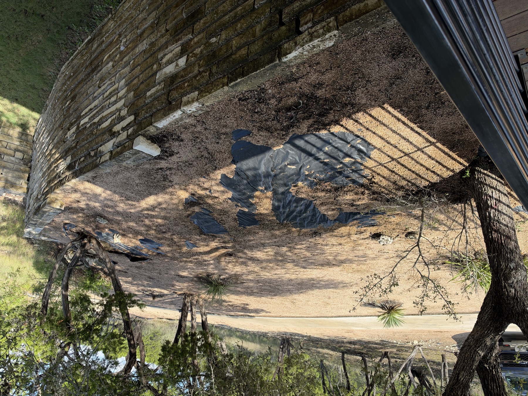 Before: wooded upper terrace with exposed landscape fabric